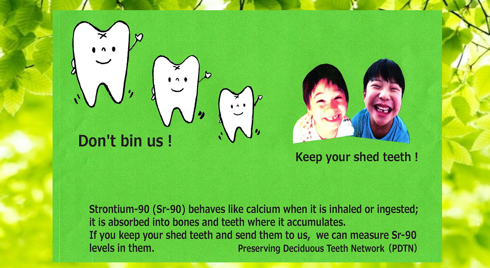 Preserving Deciduous Teeth Network （PDTN）